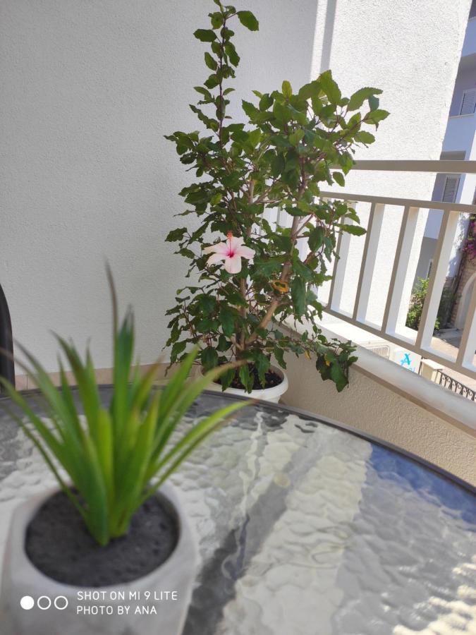 Apartments Jadranka 마카르스카 외부 사진